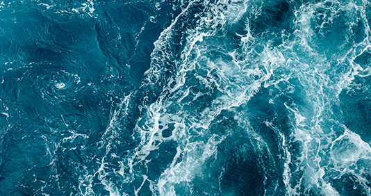 sustainable-dev-award