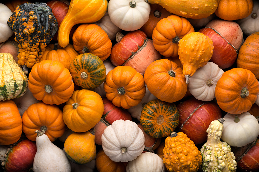 perspectives-series-autumn-2023_1000x666px
