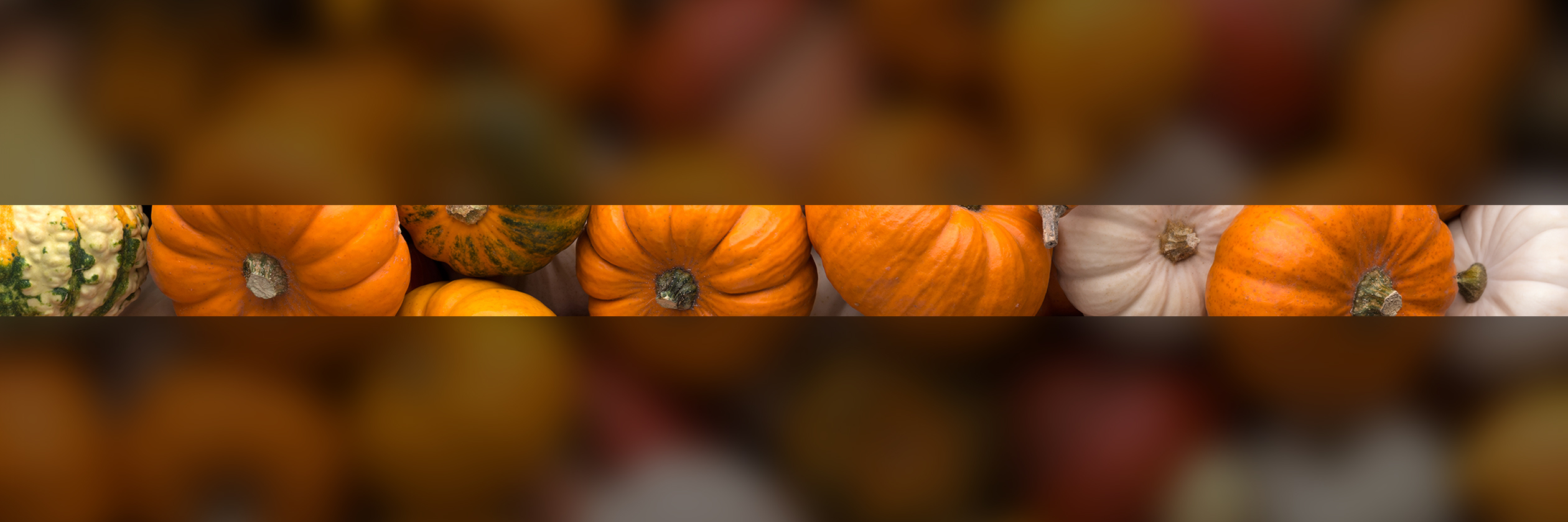 pumpkins-autumn