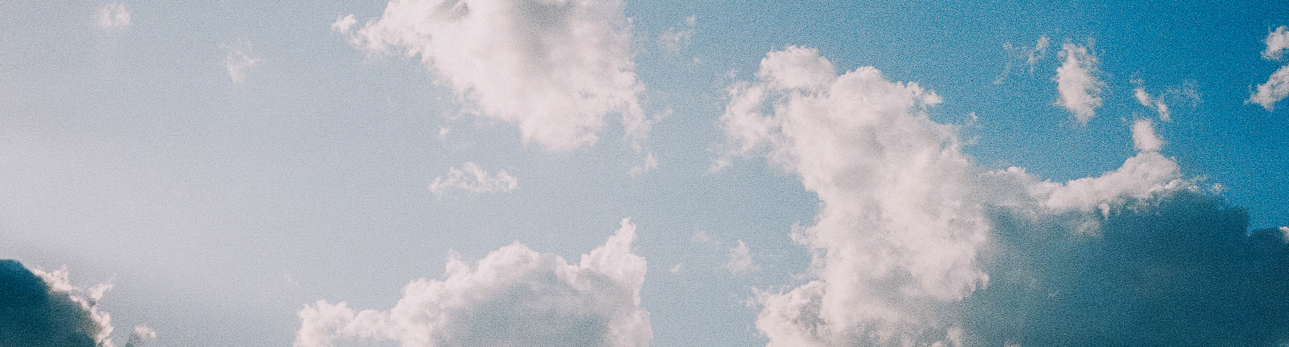 Sustainability trends: attitudes, regulation, litigation – implications and strategic considerations<br />